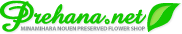 �ץ�֤ɤäȤͤä�