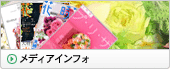 メディアインフォ