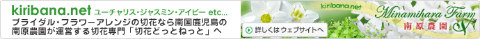 �֥饤���롦�ե�����󥸤��ڲ֤ʤ���񼯻��������ब���Ĥ����ڲ������ڲ֤ɤäȤͤäȤ�