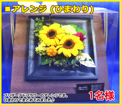 ����󥸡ʤҤޤ���